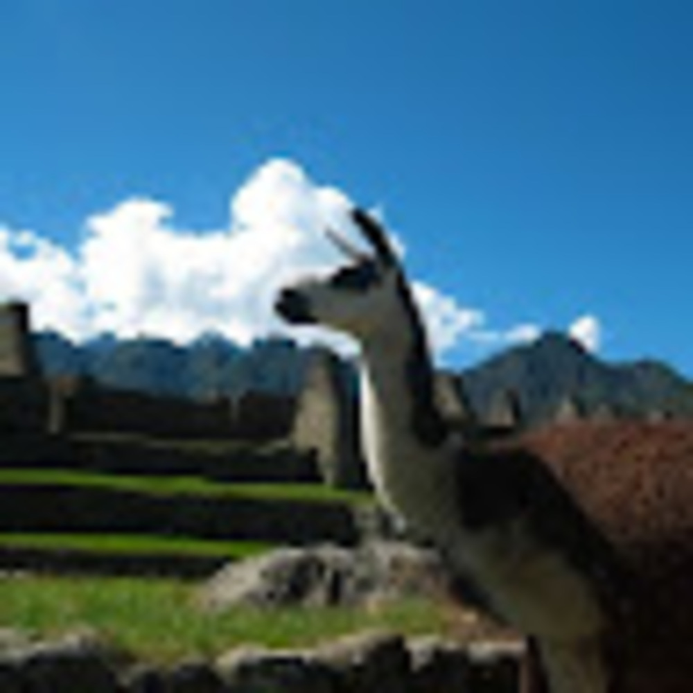 Meet your Posher, Mary